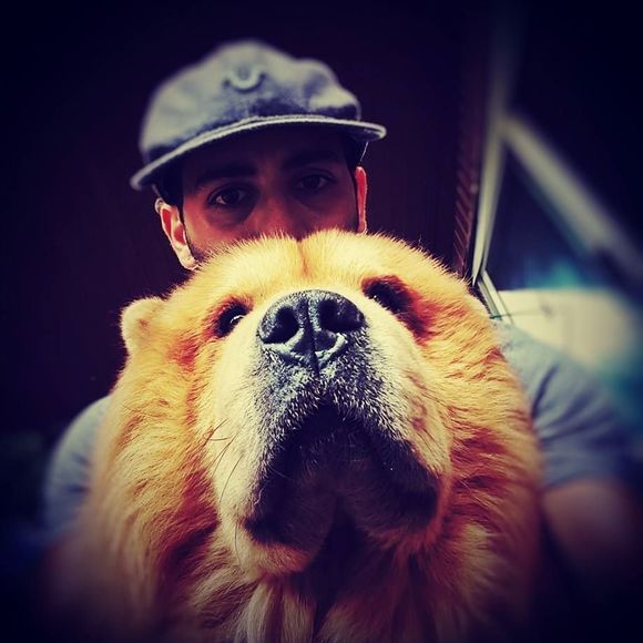 Meet your Posher, Navman - Picture 1 of 1